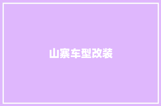 山寨车型改装