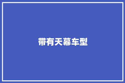 带有天幕车型