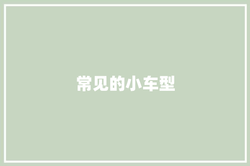 常见的小车型
