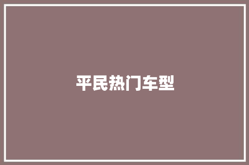平民热门车型