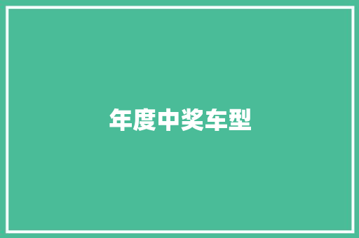 年度中奖车型