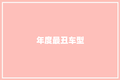 年度最丑车型
