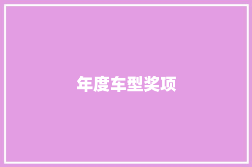 年度车型奖项