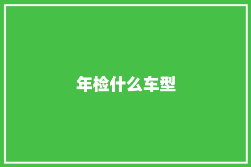 年检什么车型