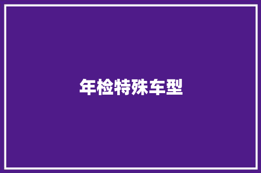 年检特殊车型