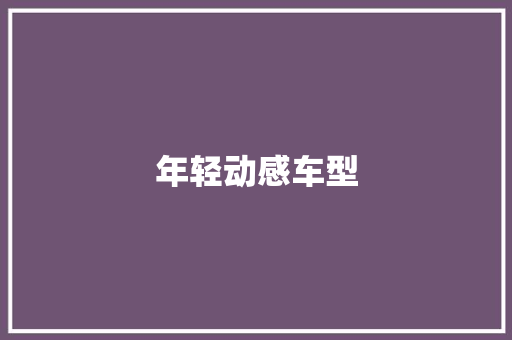 年轻动感车型