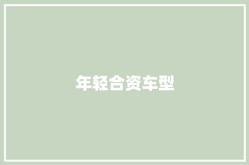 年轻合资车型