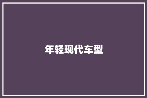 年轻现代车型