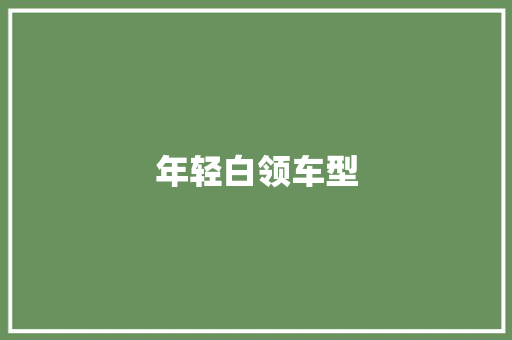 年轻白领车型