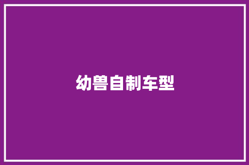 幼兽自制车型