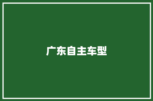 广东自主车型