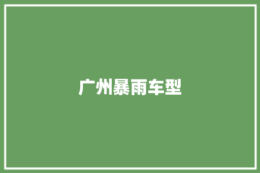 广州暴雨车型