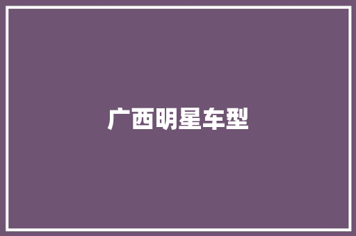 广西明星车型