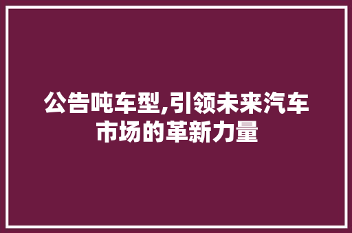 公告吨车型,引领未来汽车市场的革新力量