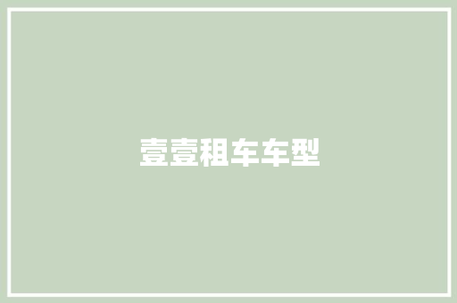 壹壹租车车型