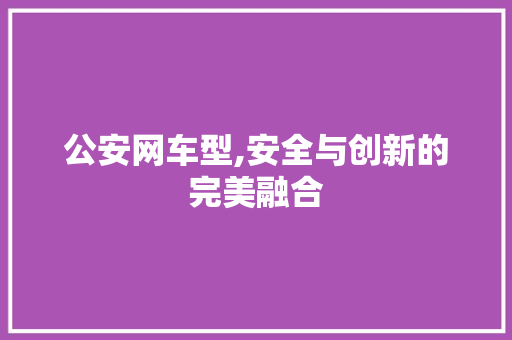 公安网车型,安全与创新的完美融合