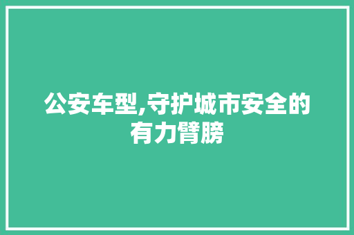 公安车型,守护城市安全的有力臂膀