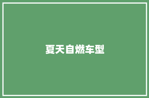 夏天自燃车型