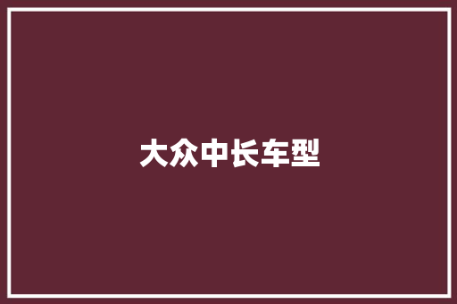 大众中长车型