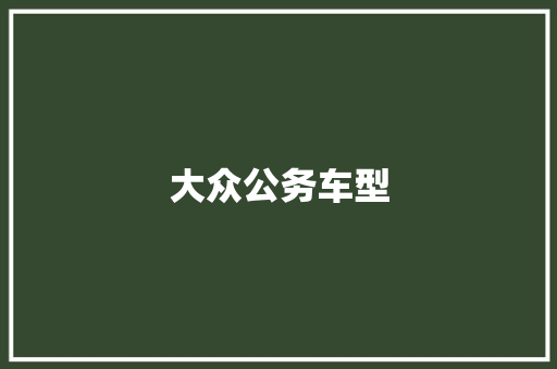 大众公务车型