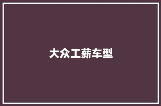 大众工薪车型