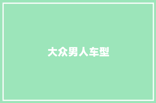 大众男人车型