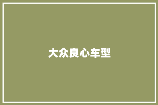 大众良心车型 汽车配件