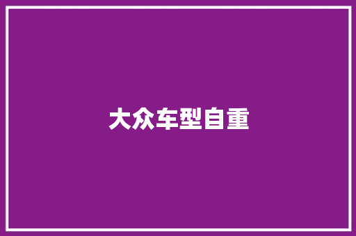 大众车型自重