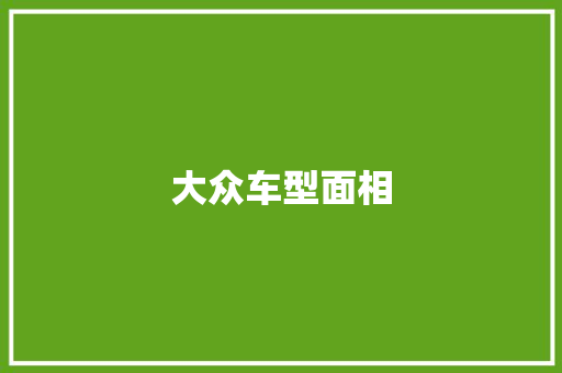 大众车型面相