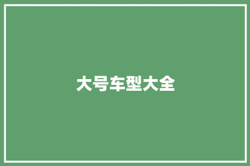 大号车型大全