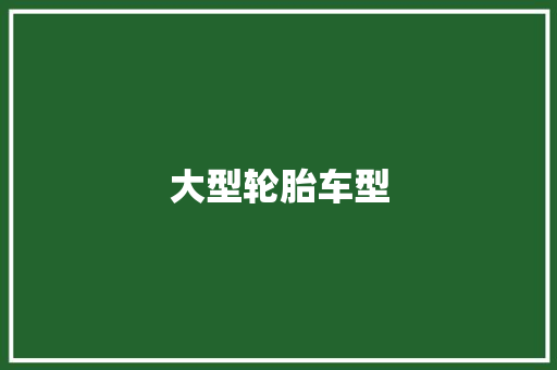 大型轮胎车型