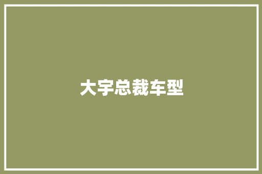 大宇总裁车型