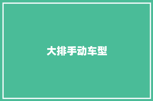 大排手动车型