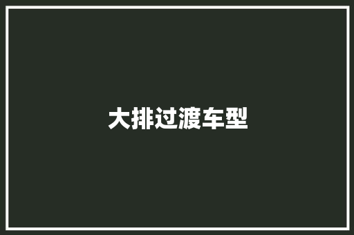 大排过渡车型