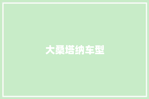 大桑塔纳车型