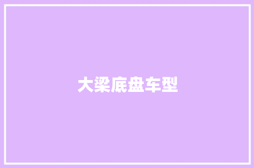 大梁底盘车型