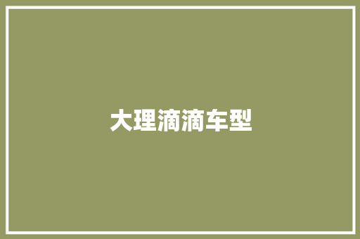 大理滴滴车型