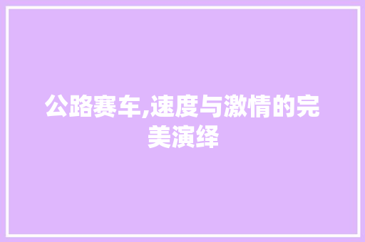 公路赛车,速度与激情的完美演绎