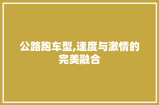 公路跑车型,速度与激情的完美融合