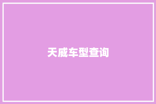 天威车型查询