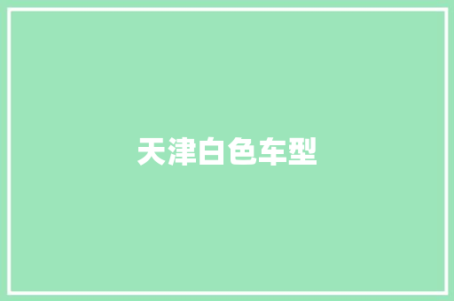 天津白色车型