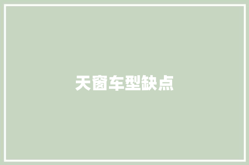 天窗车型缺点
