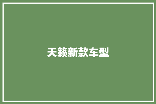 天籁新款车型