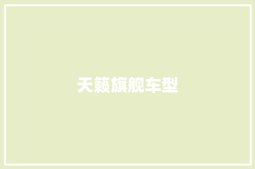 天籁旗舰车型