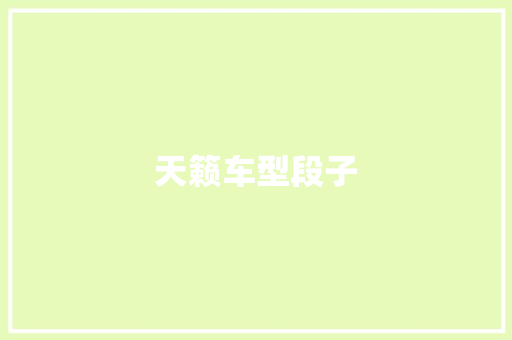 天籁车型段子