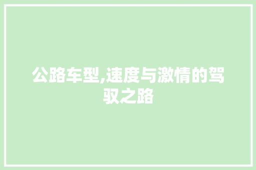 公路车型,速度与激情的驾驭之路