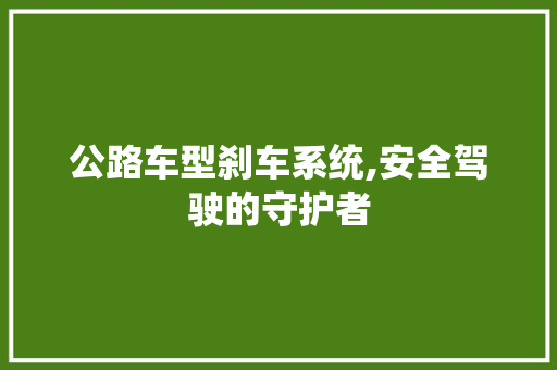 公路车型刹车系统,安全驾驶的守护者