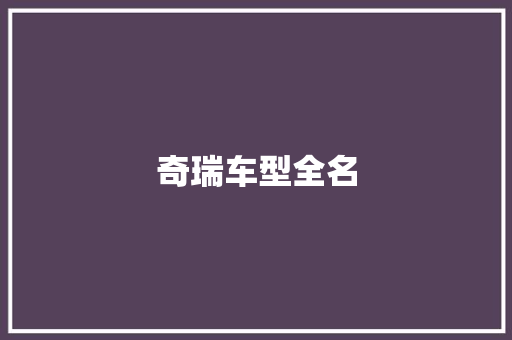 奇瑞车型全名
