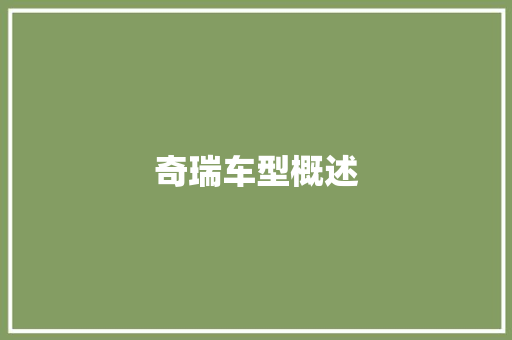 奇瑞车型概述
