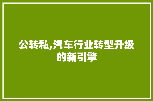 公转私,汽车行业转型升级的新引擎